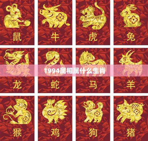 1994属|1994出生属什么生肖查询，1994多大年龄，1994今年几岁